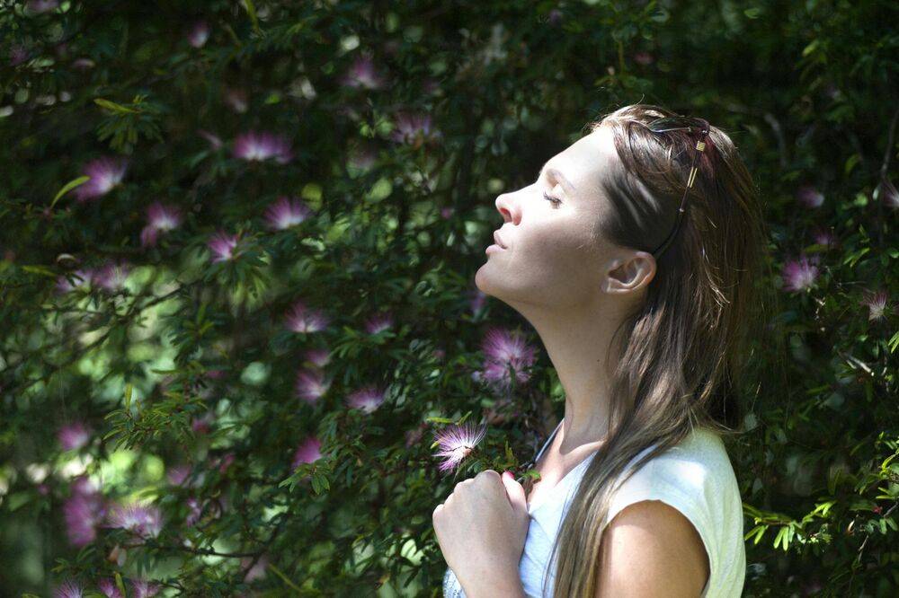 The Role of Boundaries in Mental Health and Healing 2 Mental Health and Healing